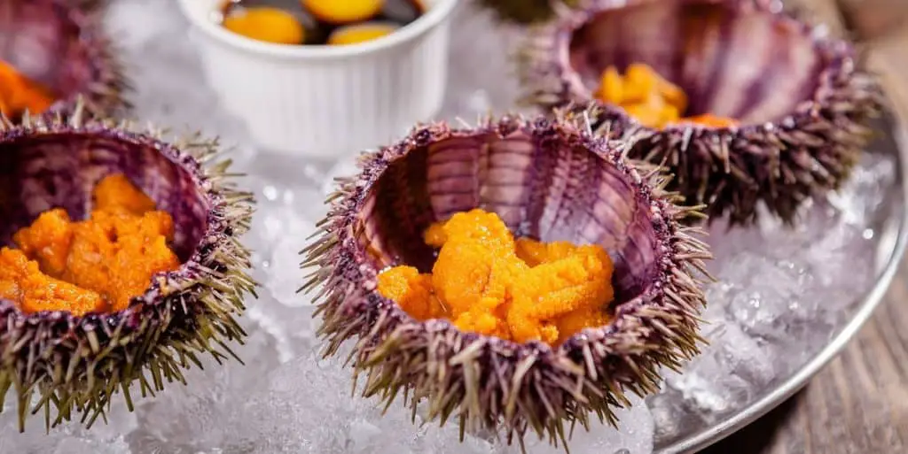 what-sea-urchins-can-you-eat-itsfoodtastic