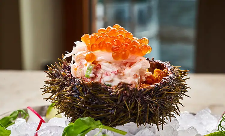 What Does Sea Urchin (Uni) Taste Like? - ItsFoodtastic