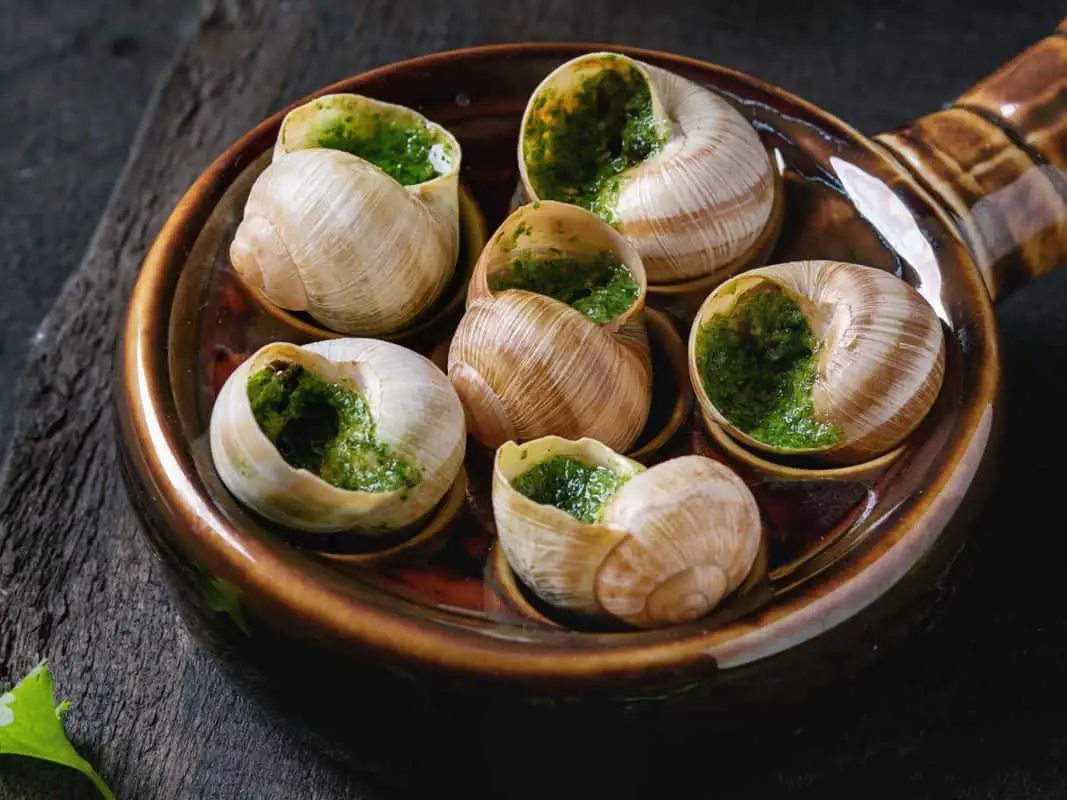 What To Serve With Escargot? Pairing Snails With Food and Wine