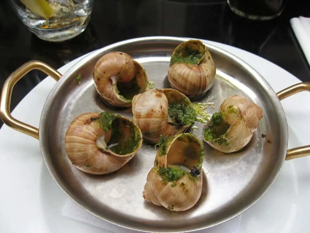 Where Does Escargot Originate From? History Of Edible Snails