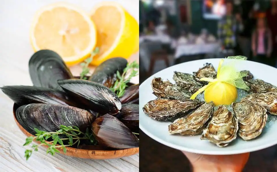 Oysters vs Mussels Difference — Taste, Nutrition, Use – ItsFoodtastic