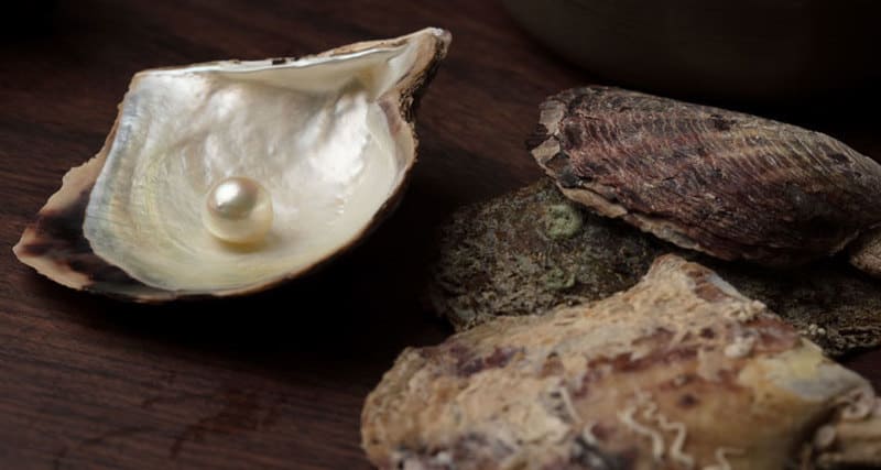 Why Do Oysters Make Pearls? – ItsFoodtastic