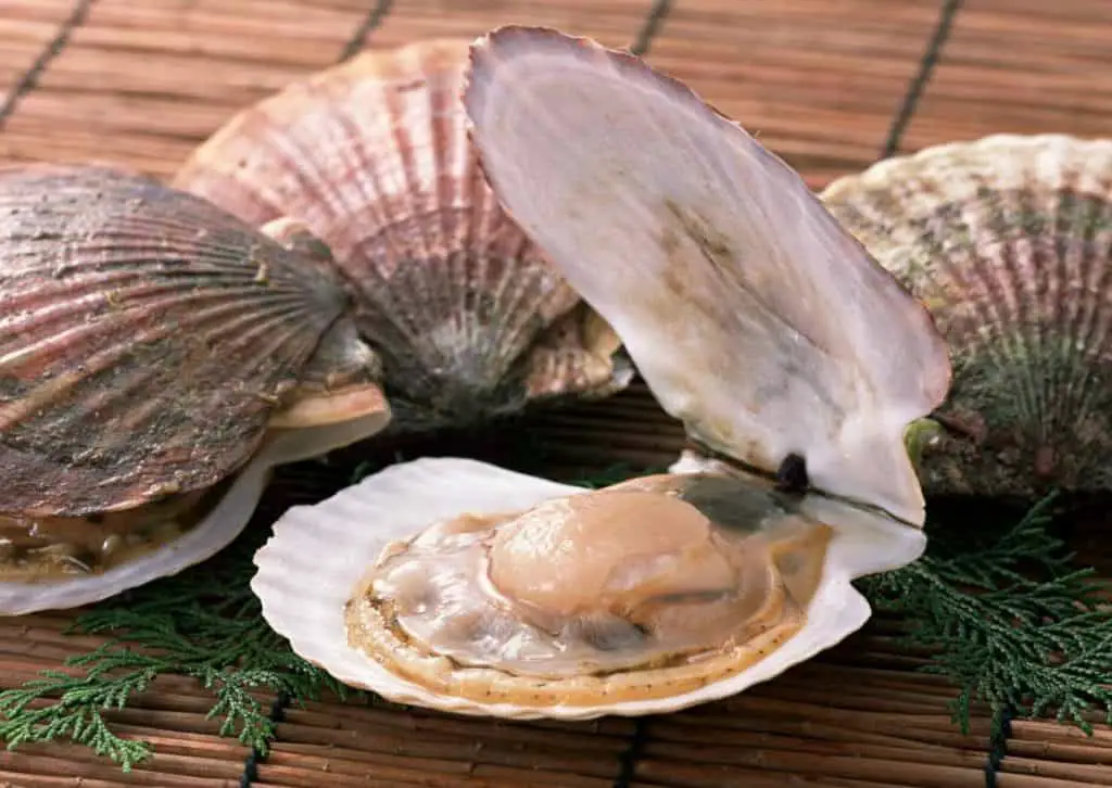 Ultimate Guide on How to Defrost Scallops Quickly ...