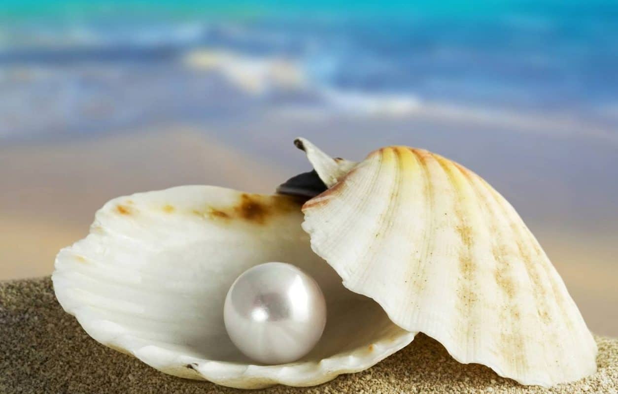 Why Do Oysters Make Pearls? – ItsFoodtastic