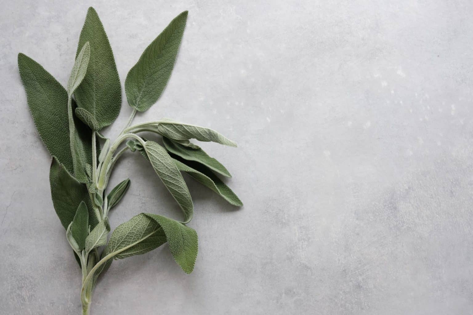 What Does Sage Taste Like? A Beginner’s Guide! – ItsFoodtastic